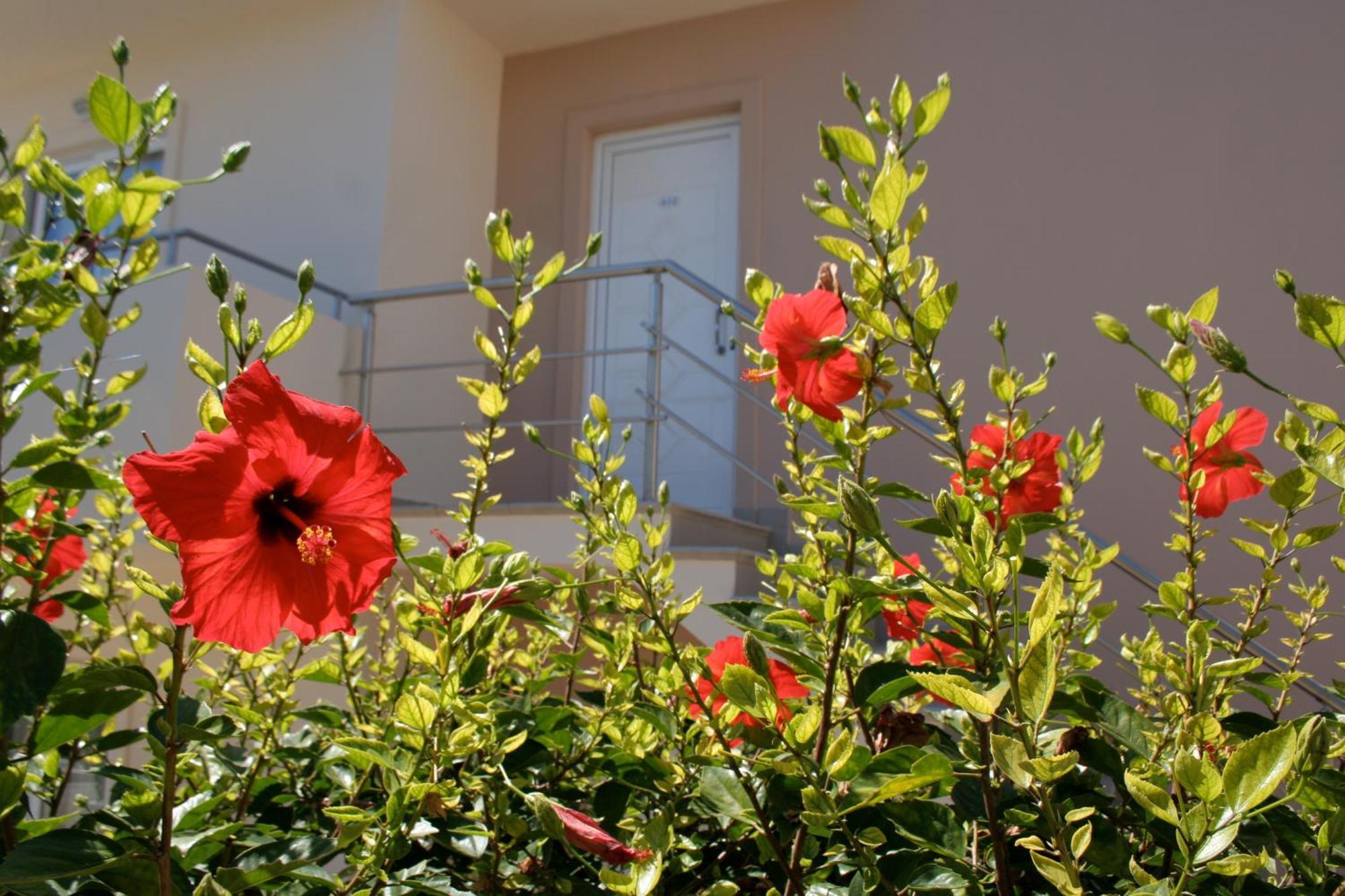 Amaryllis Front Beach Hotel Lartos Exterior photo