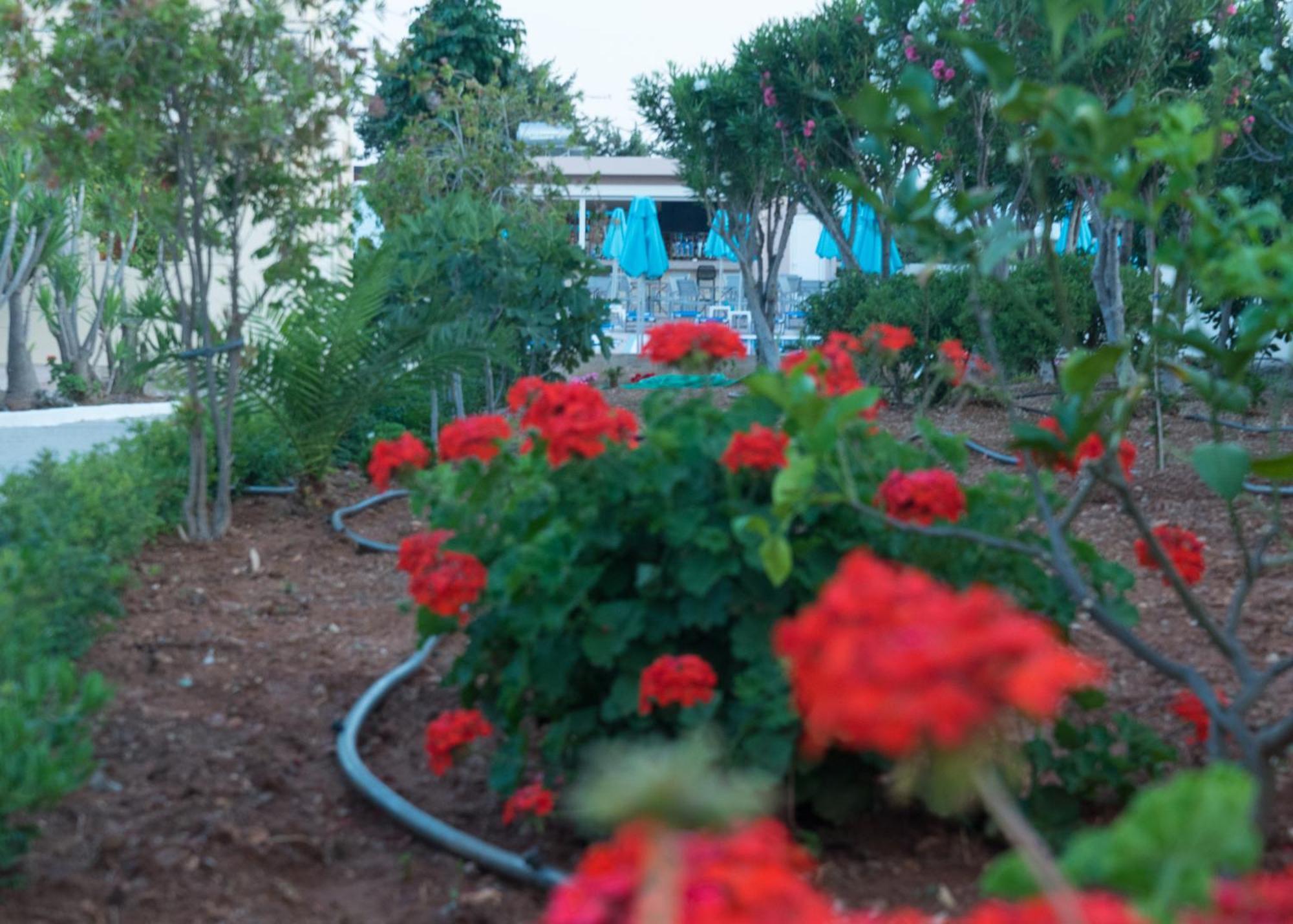 Amaryllis Front Beach Hotel Lartos Exterior photo